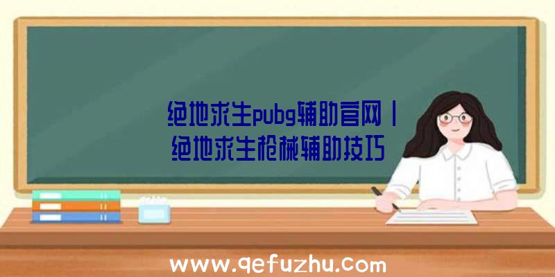 「绝地求生pubg辅助官网」|绝地求生枪械辅助技巧